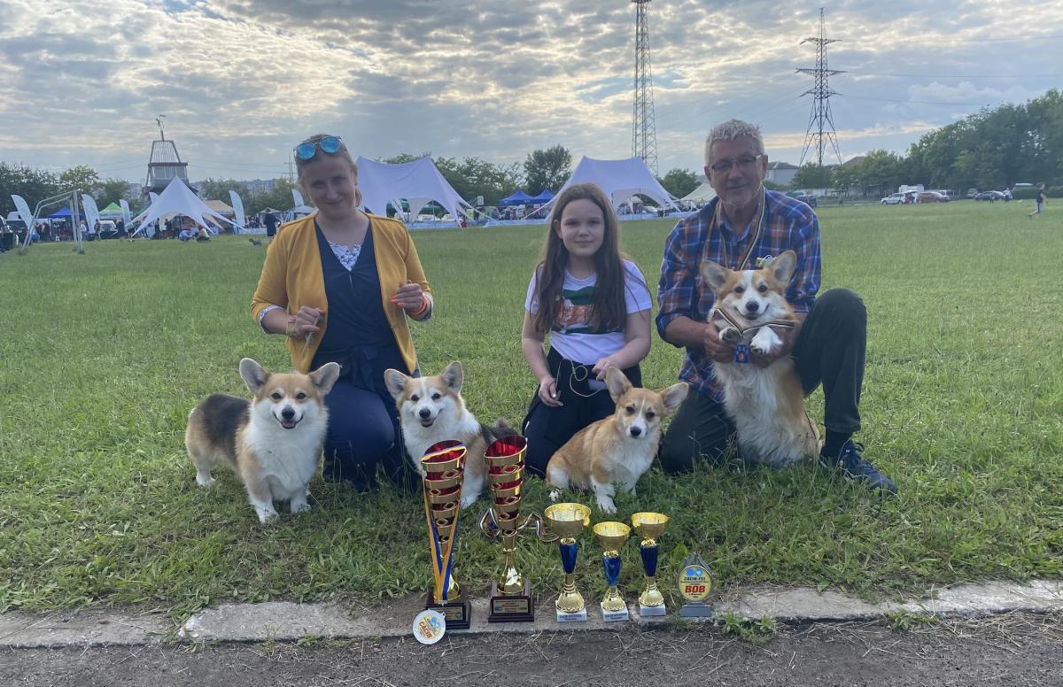 Dog shows are back