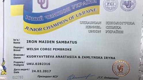 Dog show in Lviv results